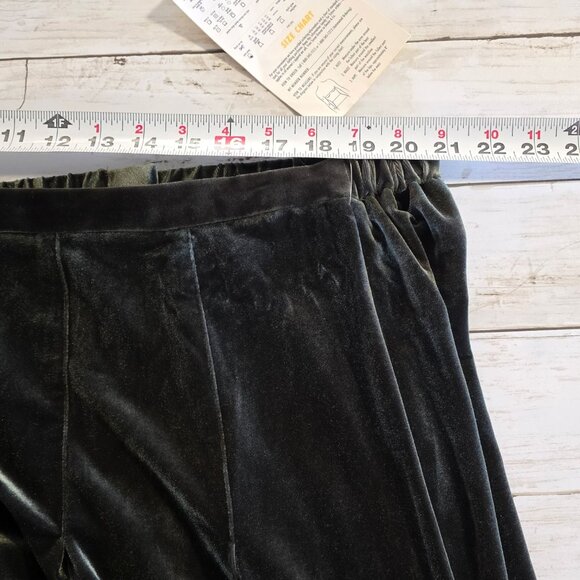 Linea Louis Dell'Olio Dark Green Velvet Skirt NEW Plus Size 3X Evening Party - Picture 4 of 7